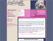 Tablet Screenshot of blueribbonpuppies.com